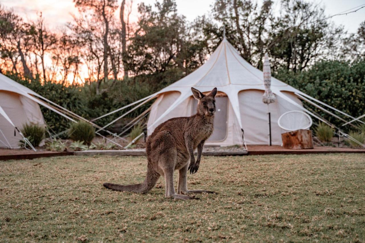 Villa The Cove Jervis Bay Extérieur photo
